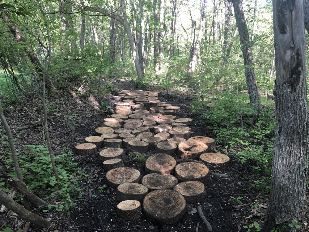 Guernsey path tree wafers