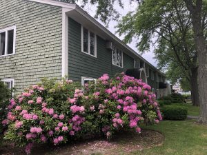 River Street public housing