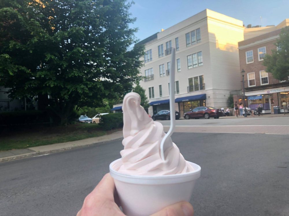 swellesleyswirl