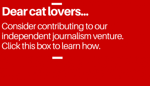 swellesly ad cats