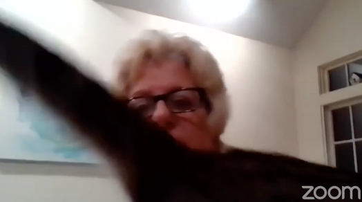 Bos Cat