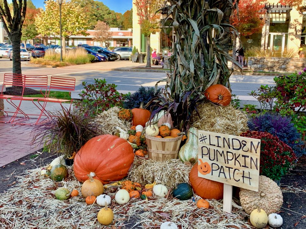 Linden Square, Wellesley