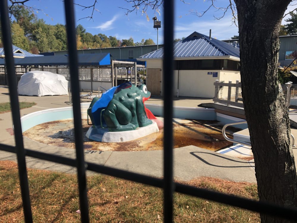 babson skating rink frog