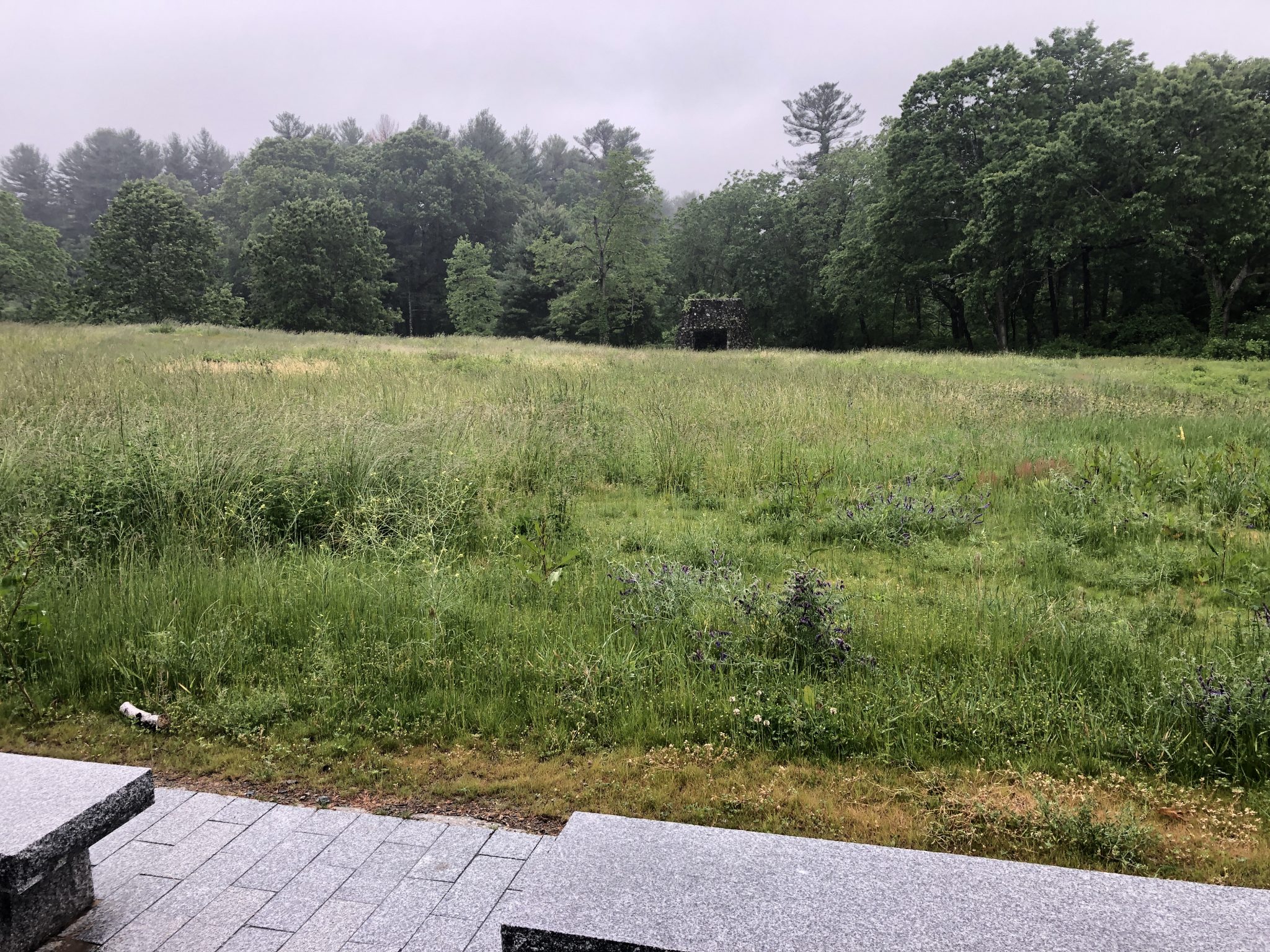 Beyond Wellesley Weston's Case Estates trails The Swellesley Report