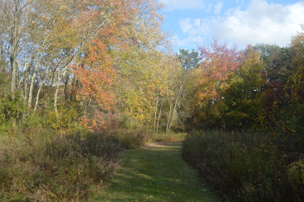 oct 2021 fall boulder brook