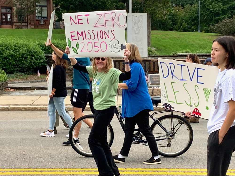 Wellesley's Wonderful Weekend, Sustainable Wellesley