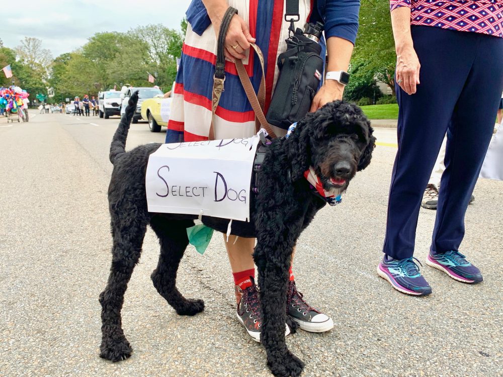 Wellesley's Wonderful Weekend, Select Dog