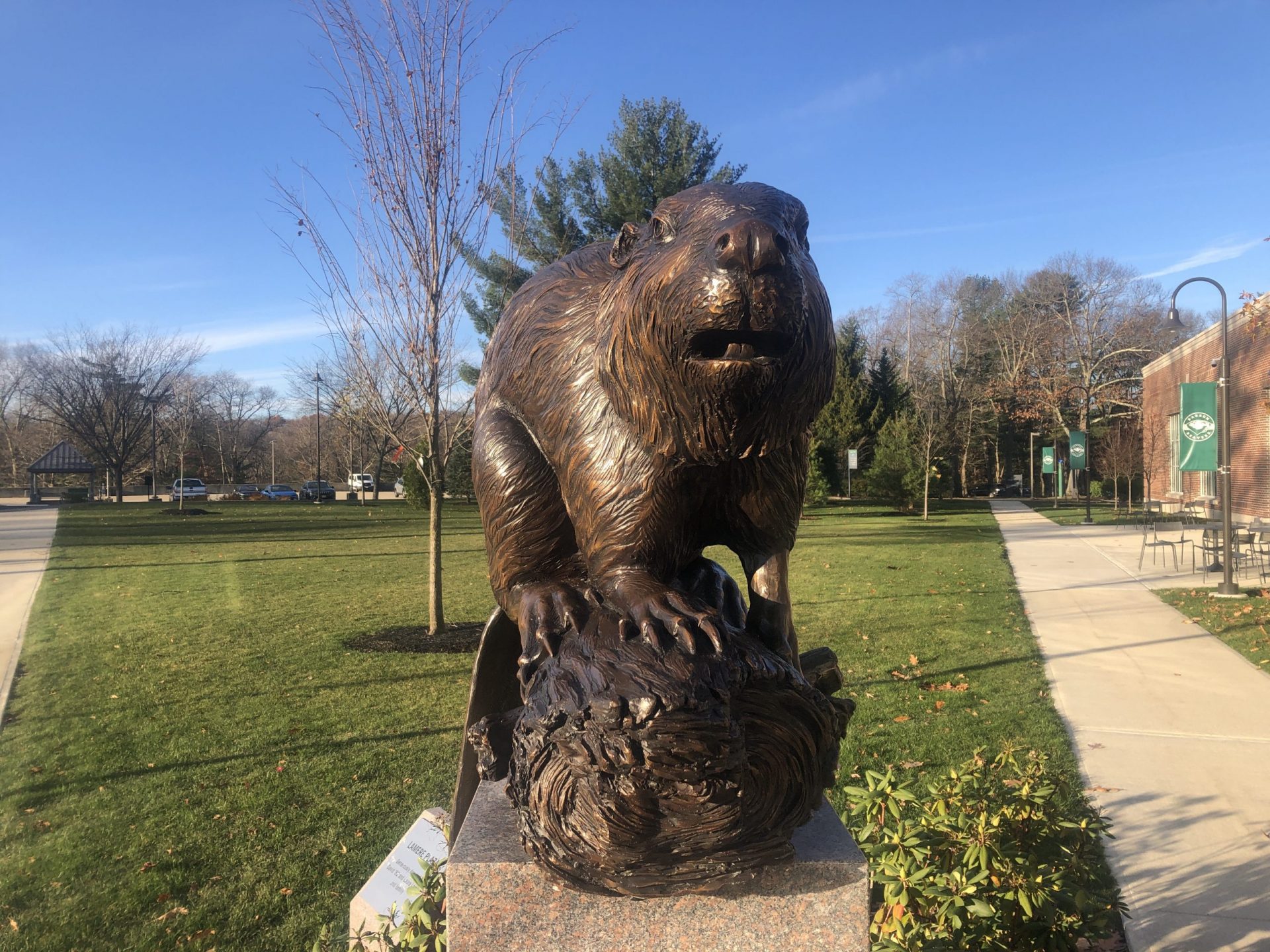 Babson Beaver sculpture at Webster Athletic Center