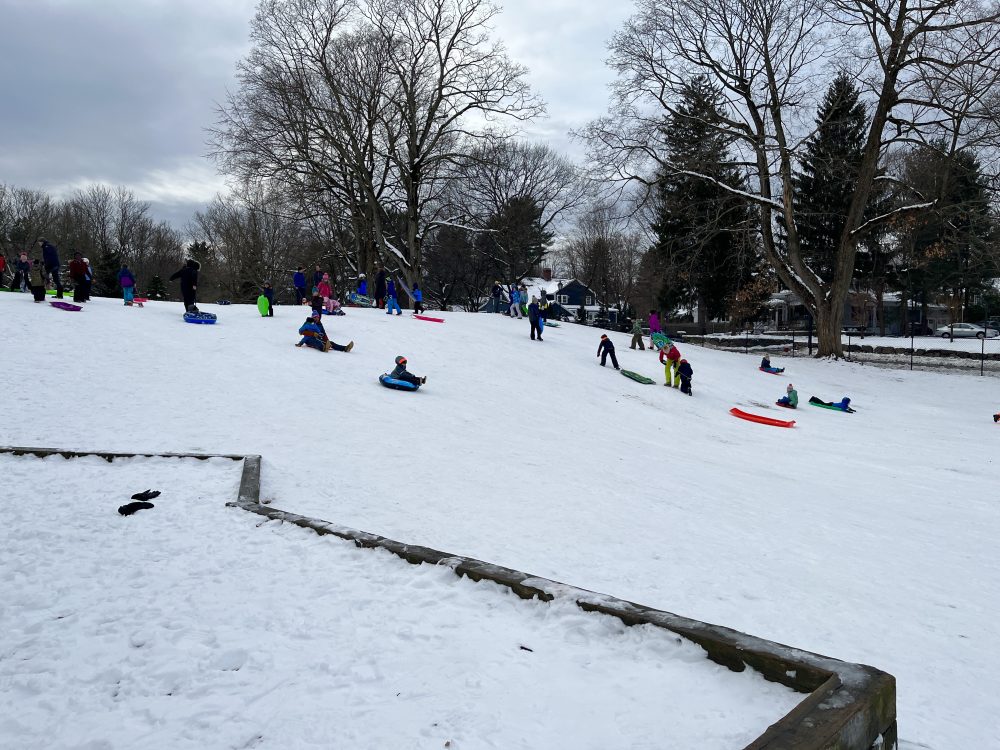 warren park sledding snow winter