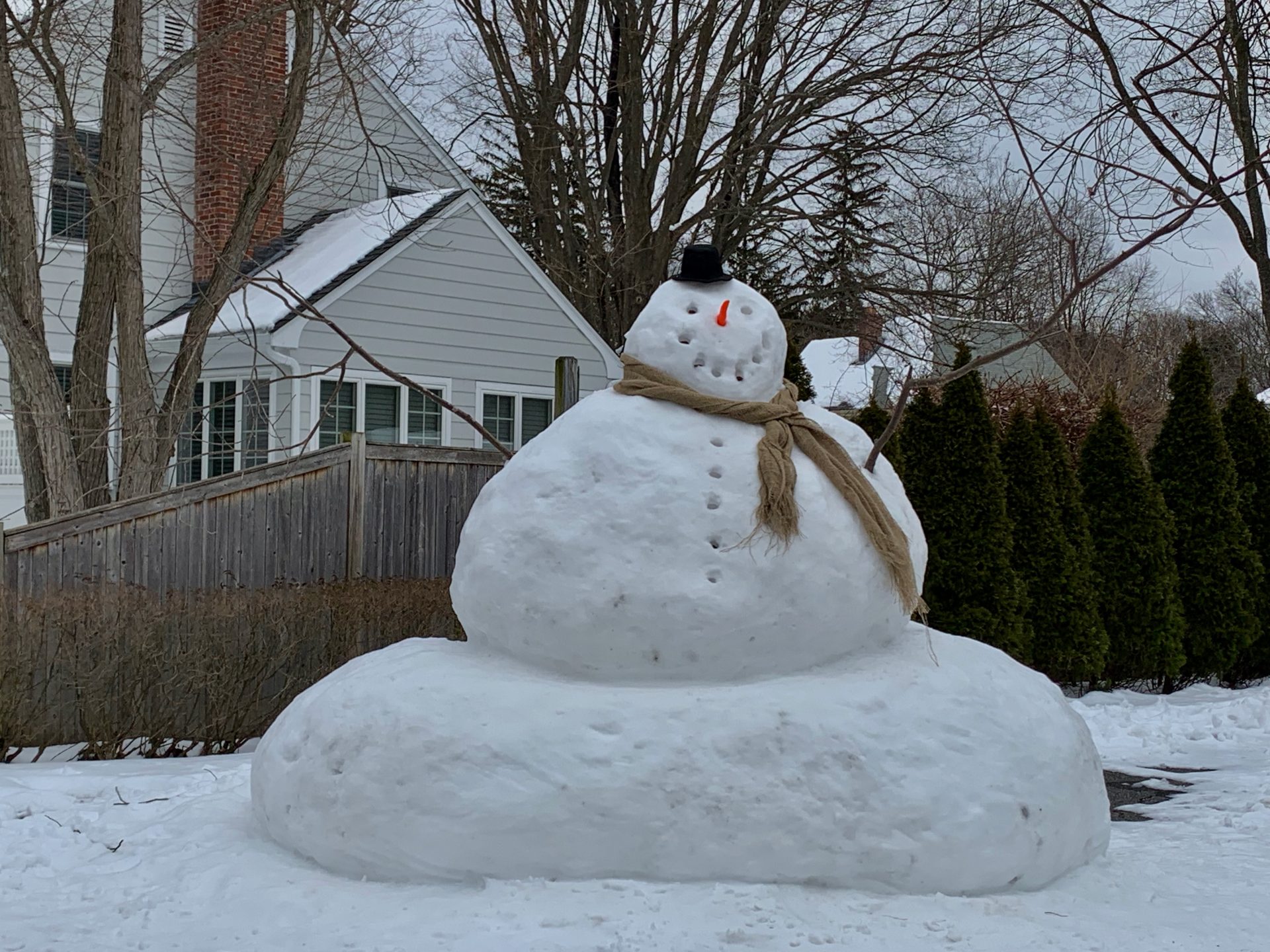 Wellesley snowman