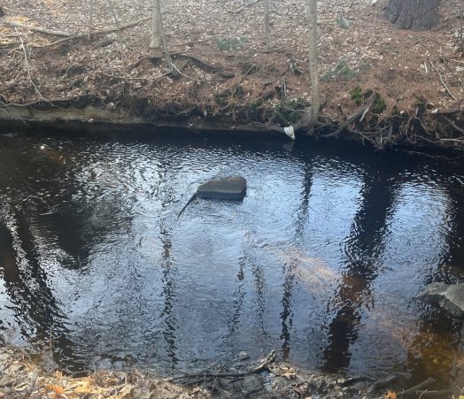 stick and rock at fuller brook
