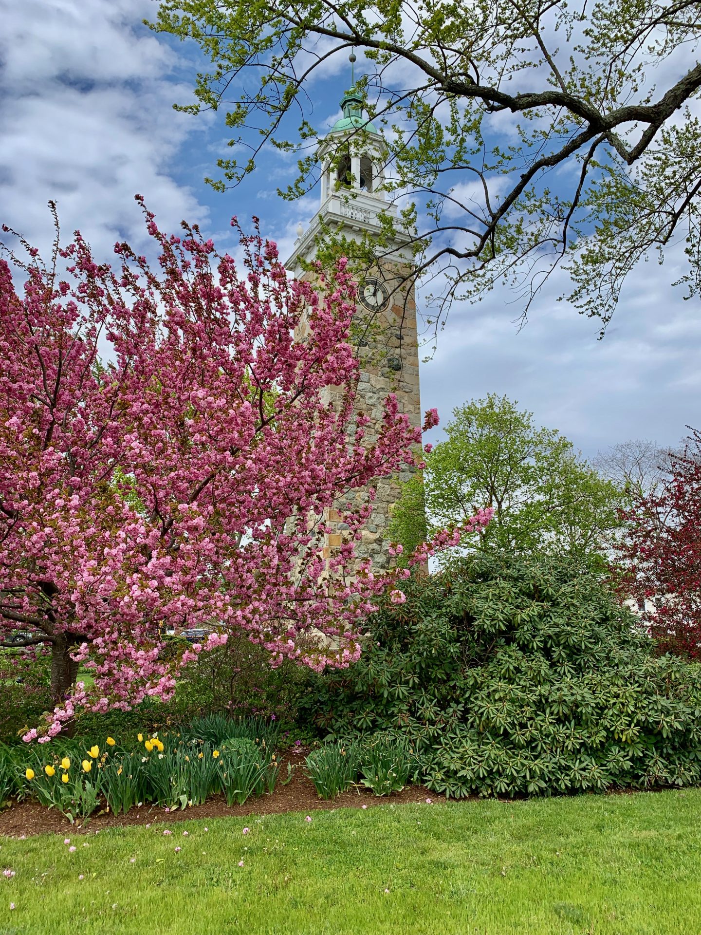 Wellesley Clock Tower