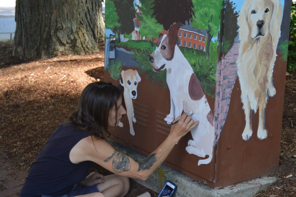 dog electrical box