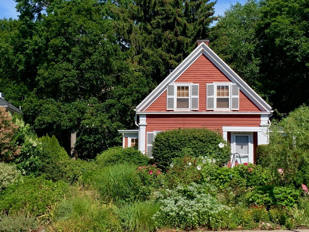 Little Red, Wellesley College
