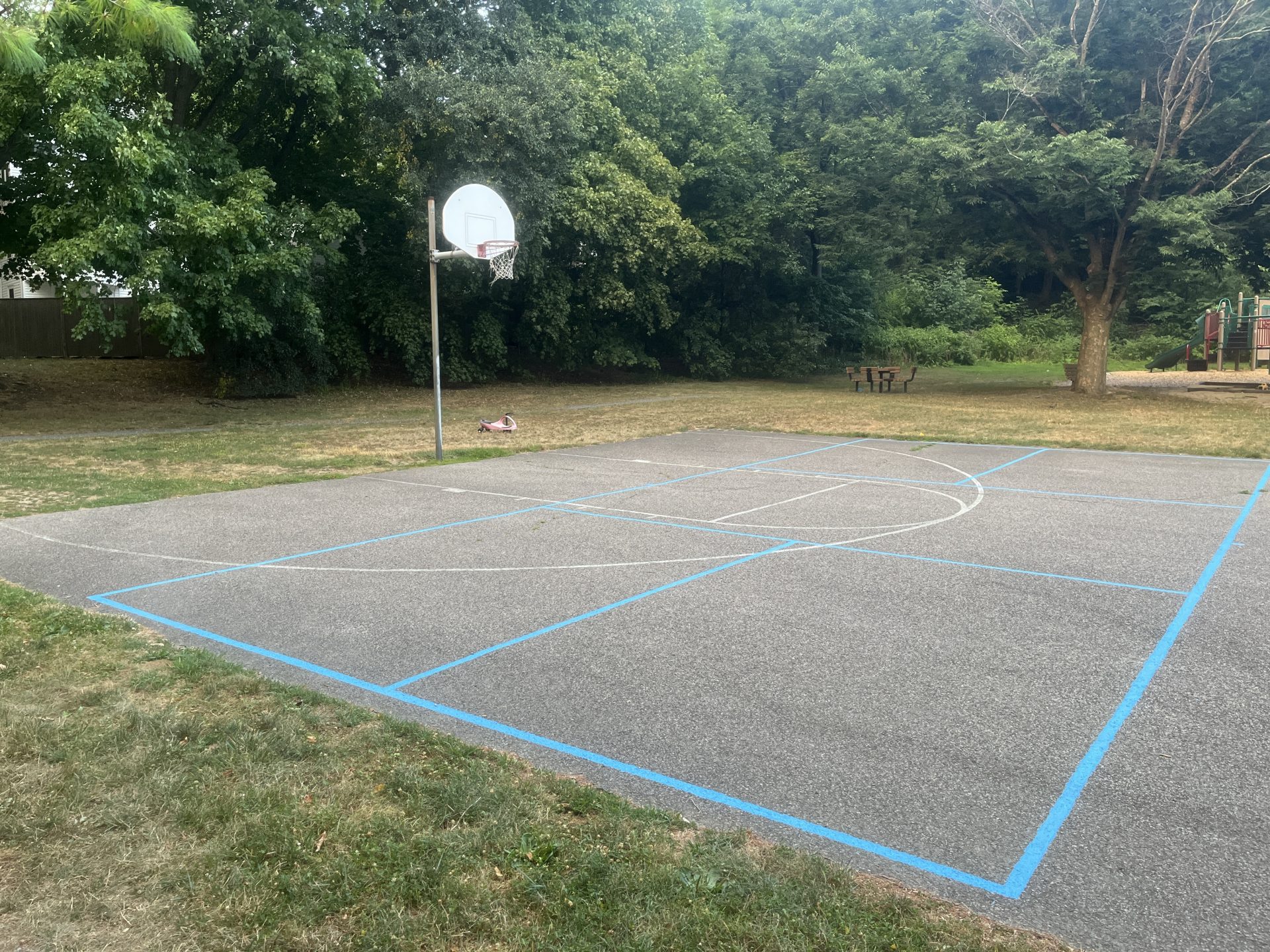 Where to play tennis and pickleball in Wellesley (and beyond) The