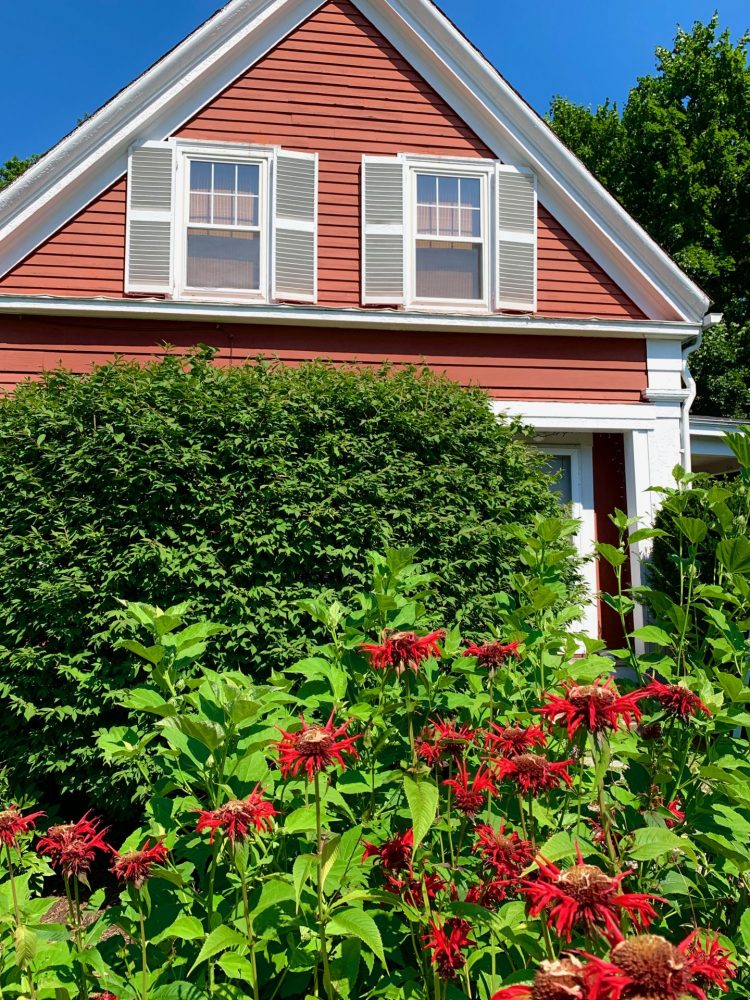 Garden, Marilyn Sides, Wellesley