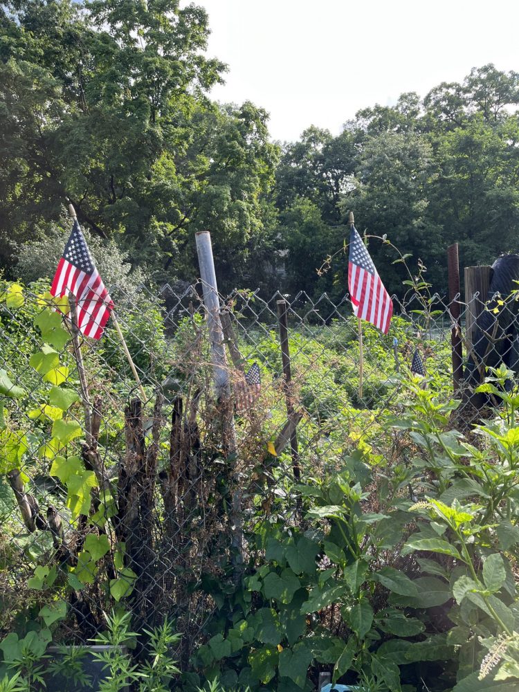 summer weston road community gardens