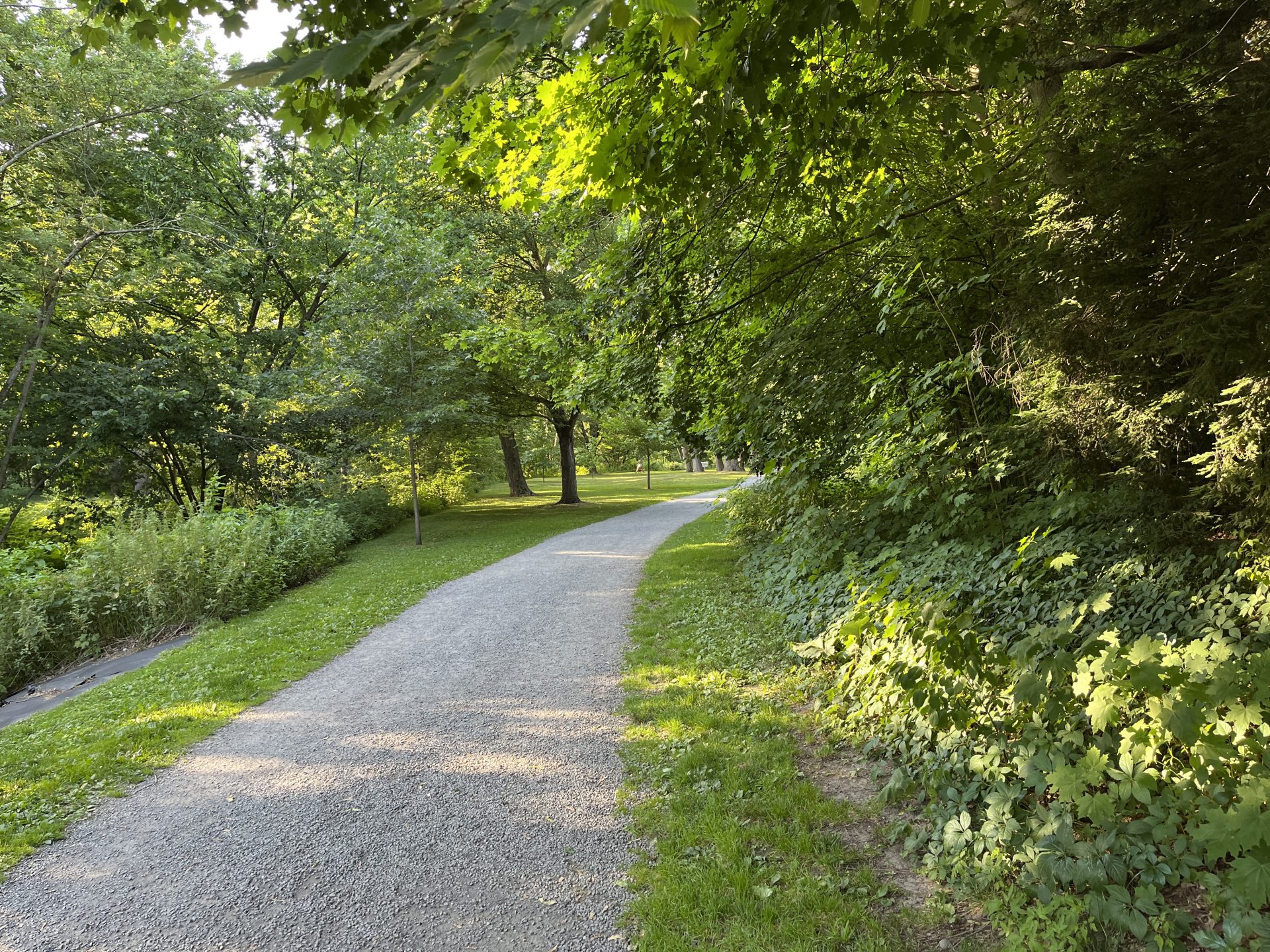 fuller brook park brook path summer