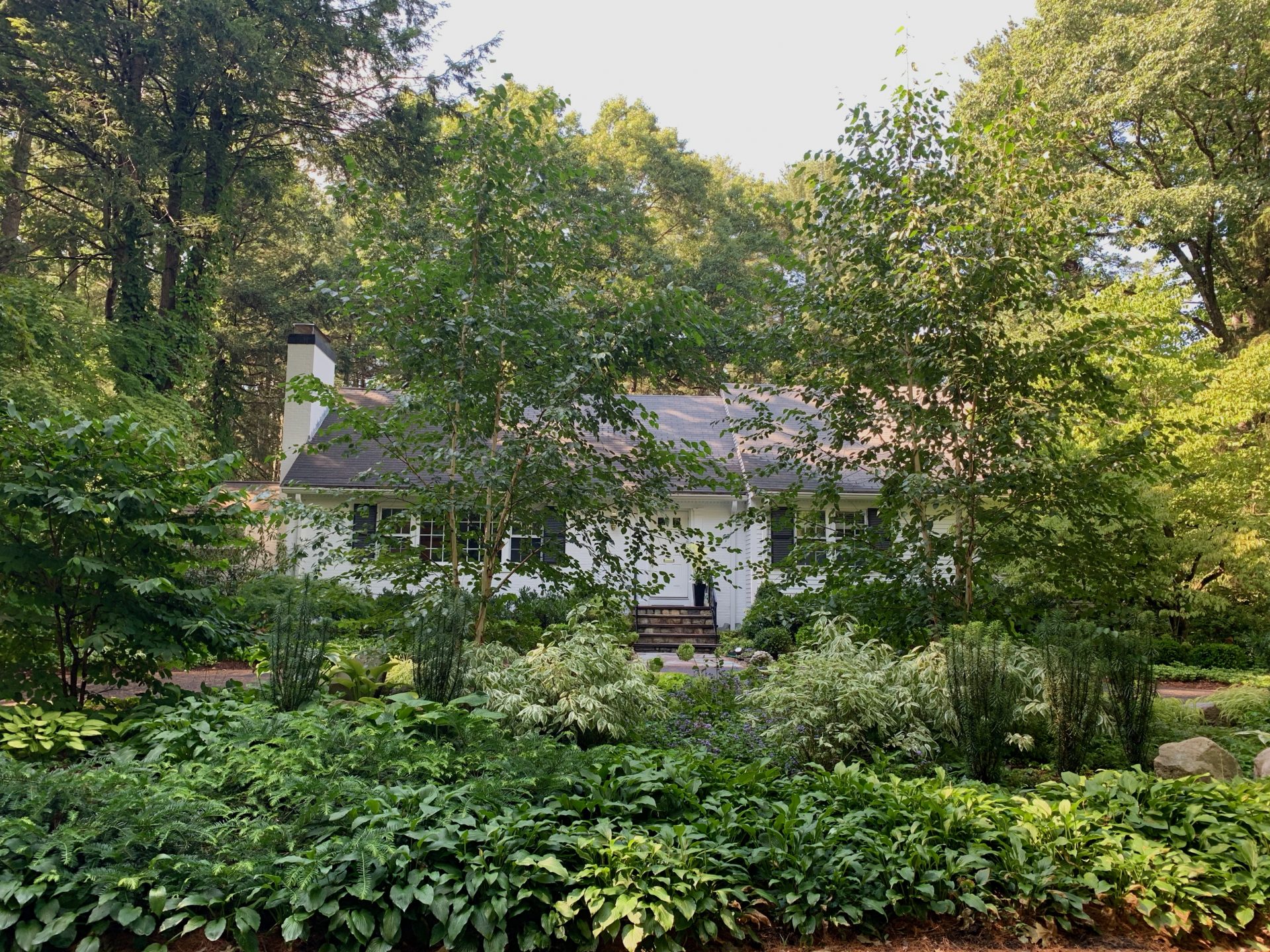 Wellesley is back to being a dry town The Swellesley Report