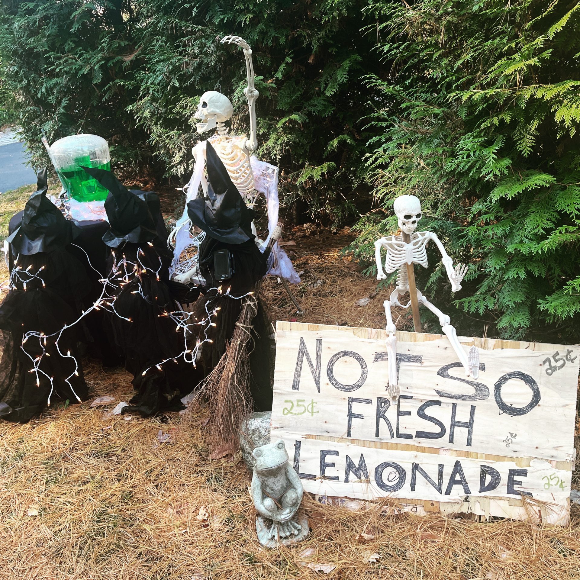 Pumpkin paradise in Linden Square The Swellesley Report