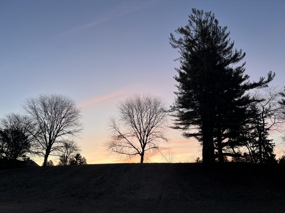 elm bank sunrise winter
