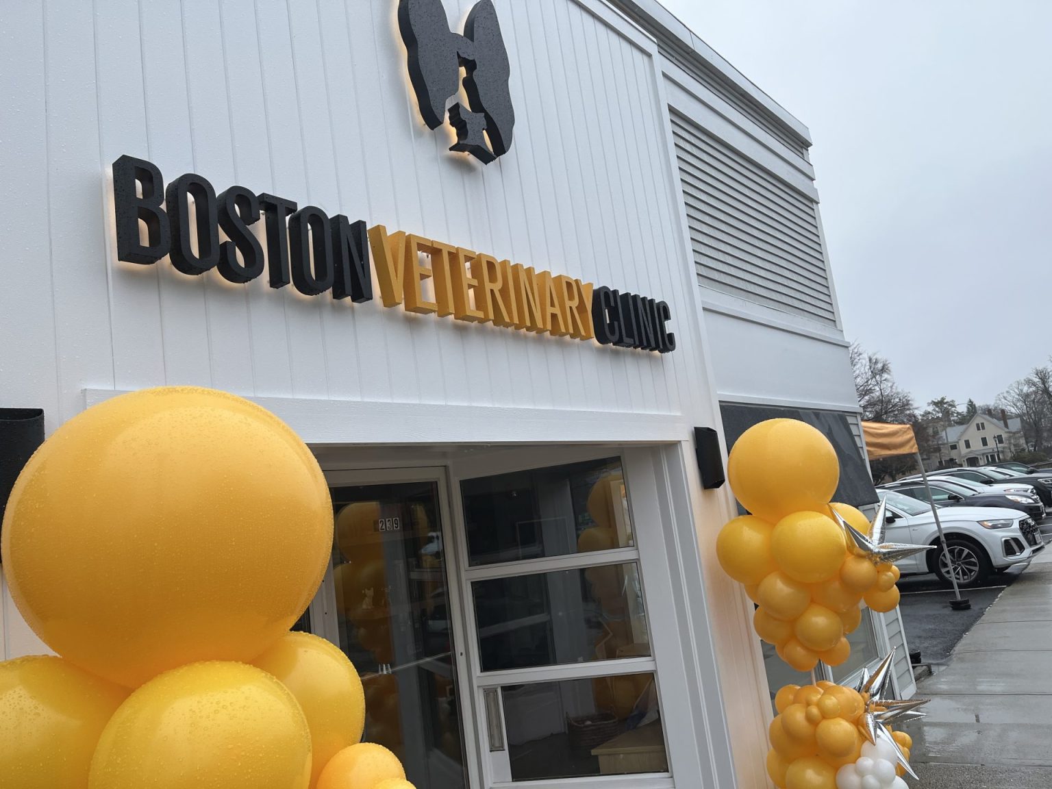 Wellesley business buzz Punch's Alley is back—without booze; join the