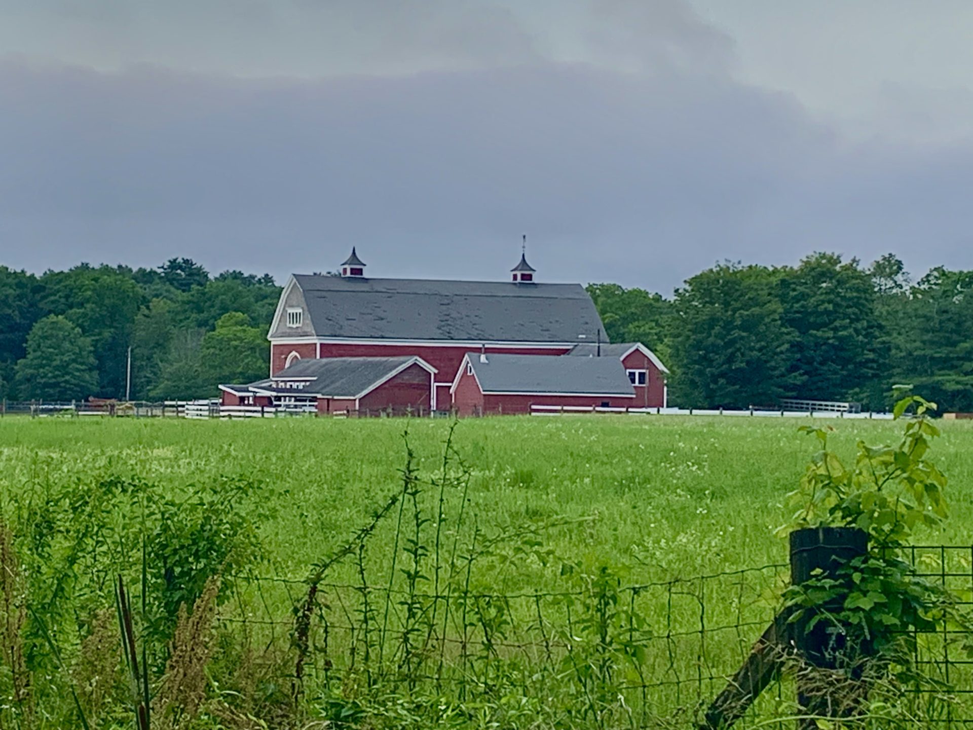 Horseback riding lessons near Wellesley, Mass. The Swellesley Report