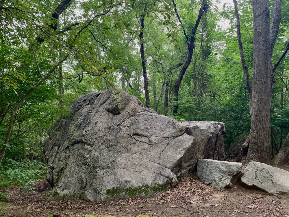 Fairy Rock, Kelly Memorial Park, Wellesley