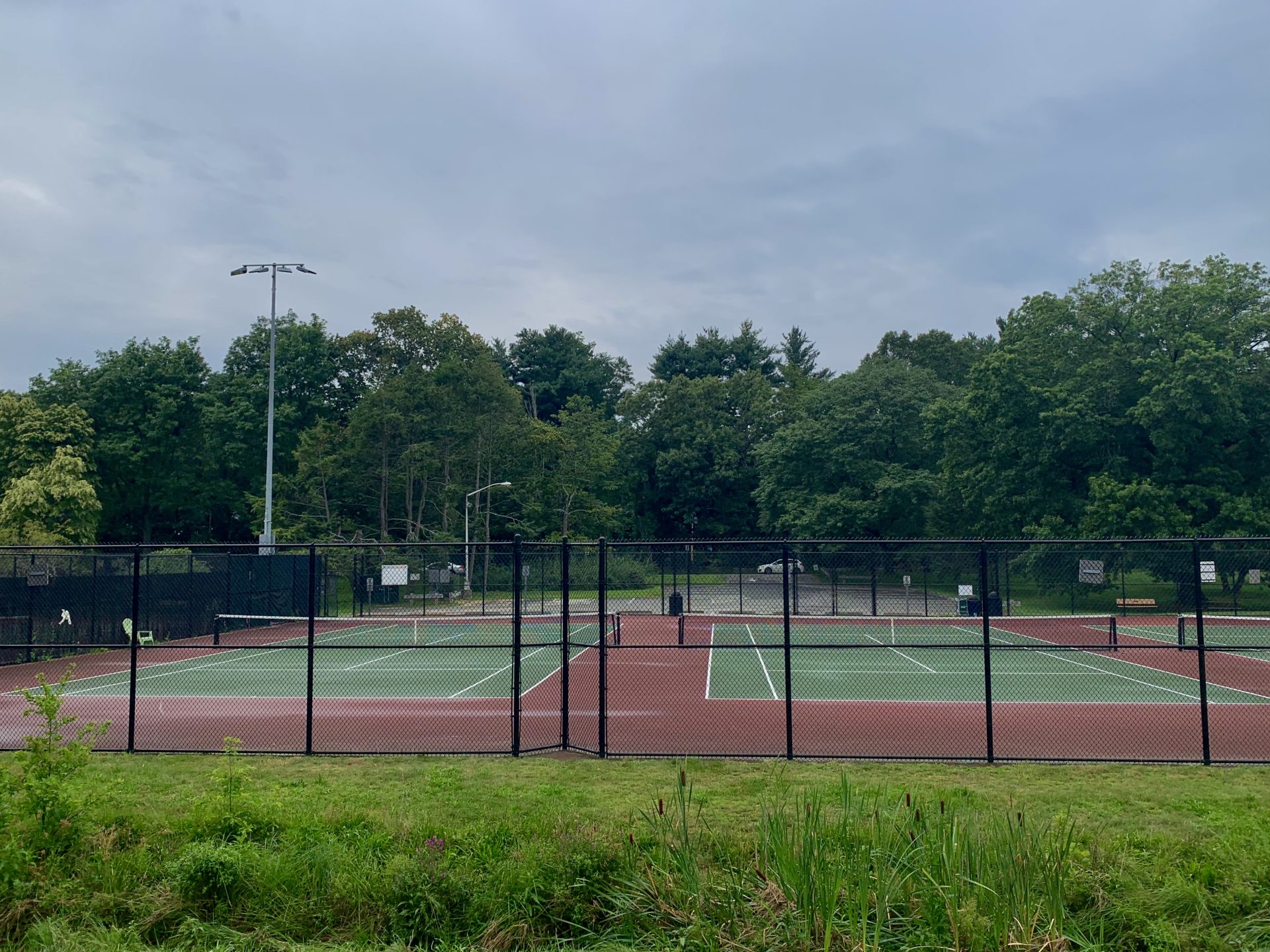 Where to play tennis and pickleball in Wellesley (and beyond) The