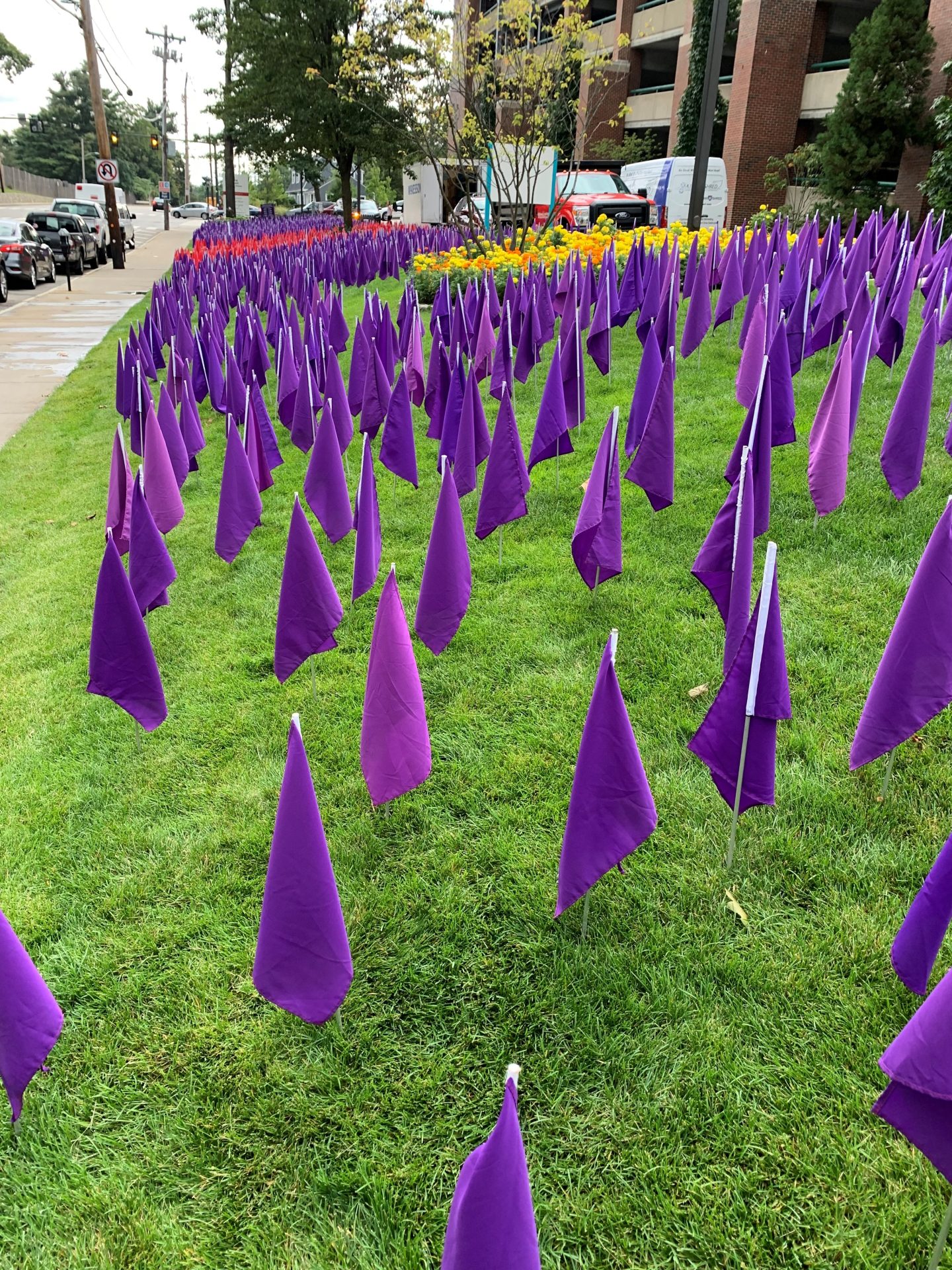 NewtonWellesley Hospital remembers lives lost to opioids The