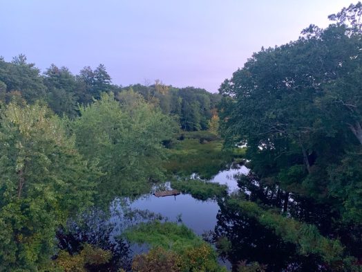 Charles River offshoot, Waban Arches, Wellesley