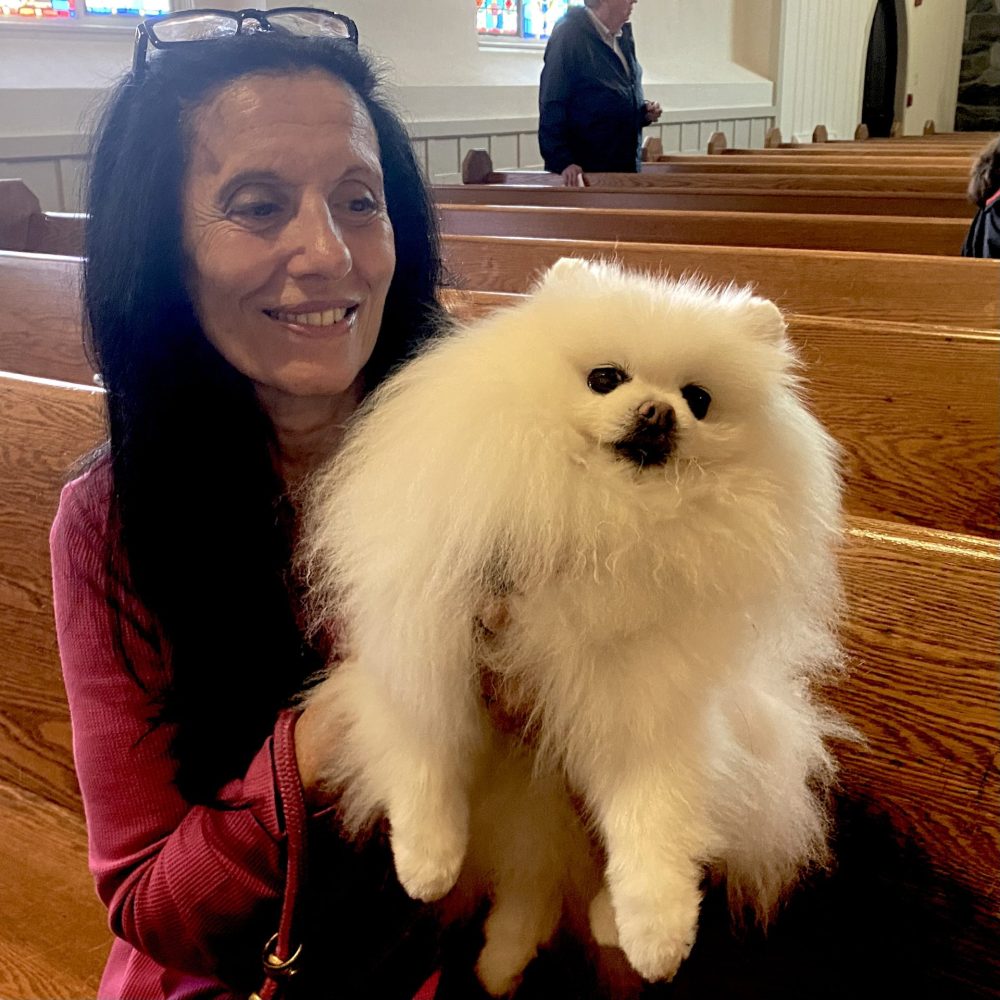 St. Andrew's Blessing of the Animals
