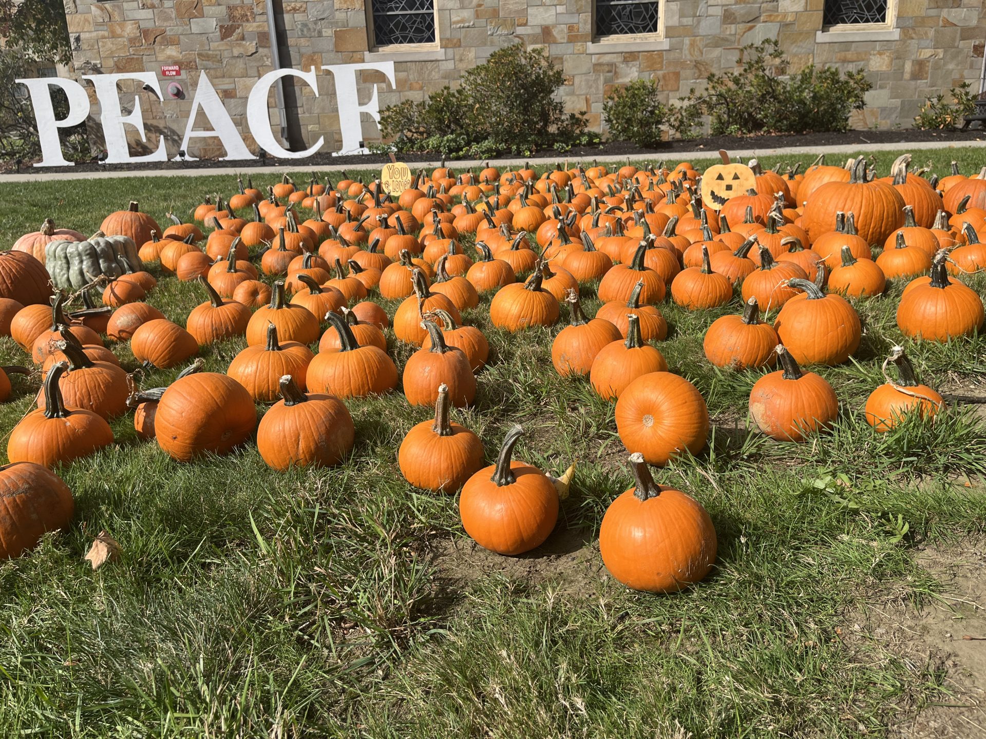 Wellesley Hills Congregational Church pumpkin patch