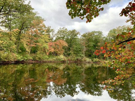 Wight Pond, Wellesley Farms
