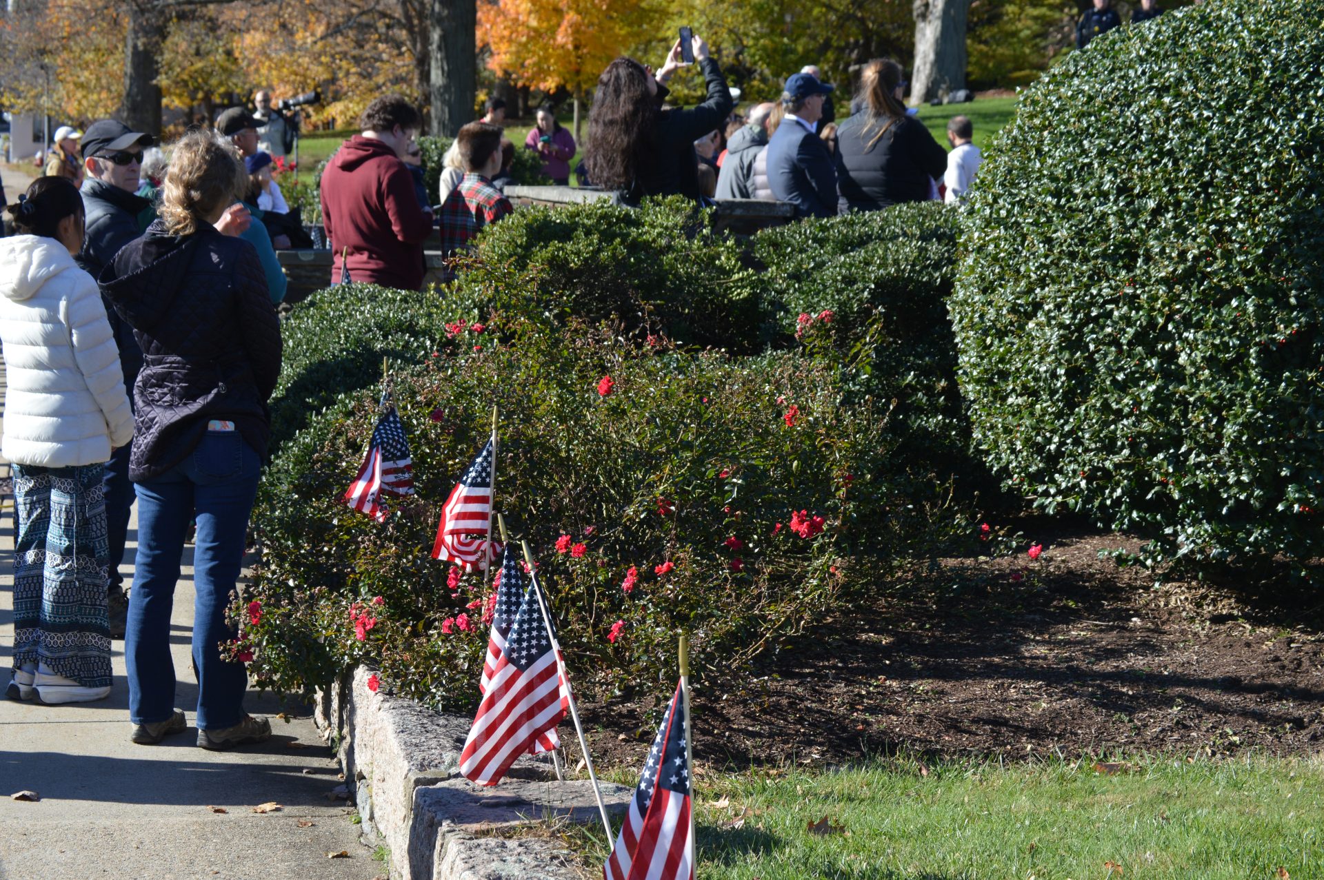 Wellesley Veterans Day ceremony