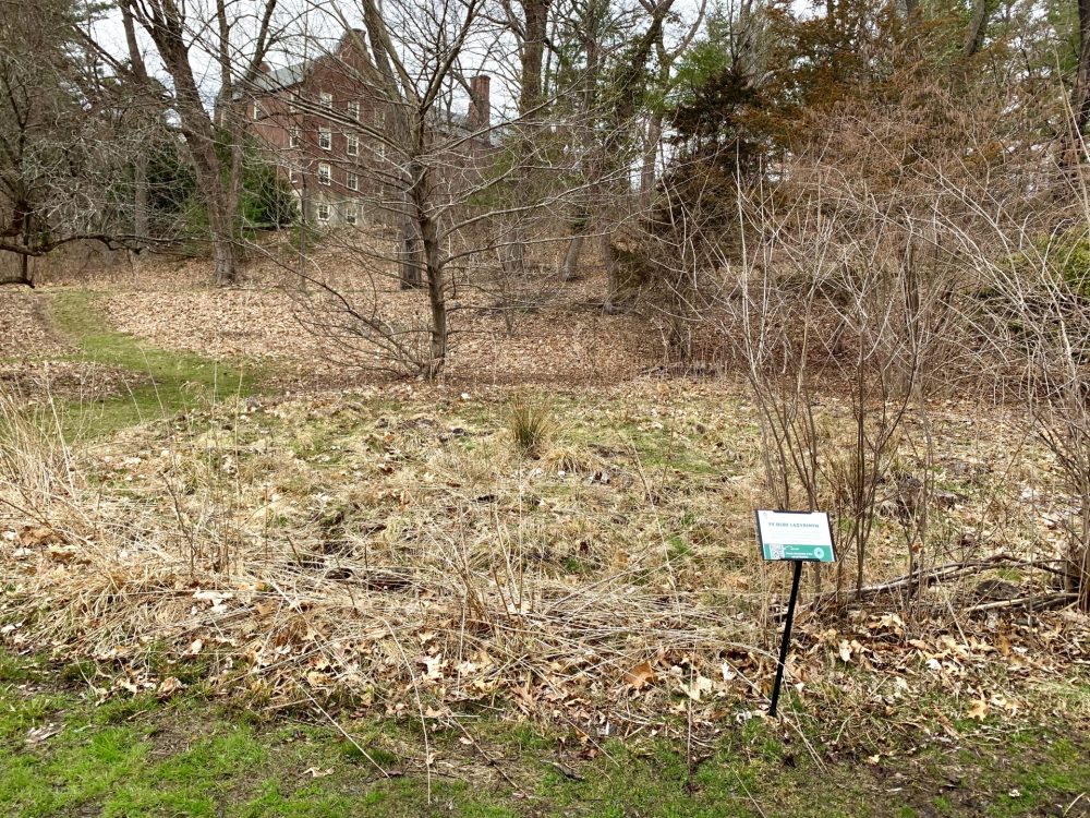 Wellesley College, Ye Olde Labyrinth