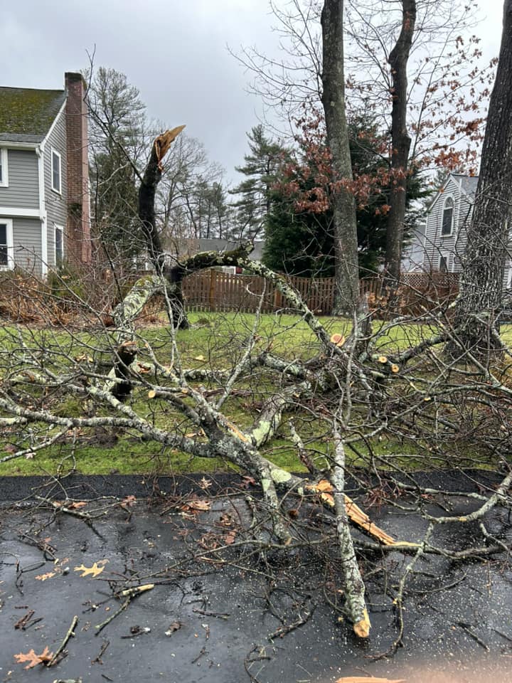 Wellesley Free Library storm