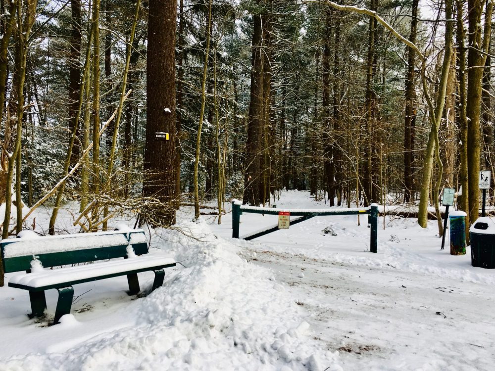 Elm Bank Reservation, cross country skiing