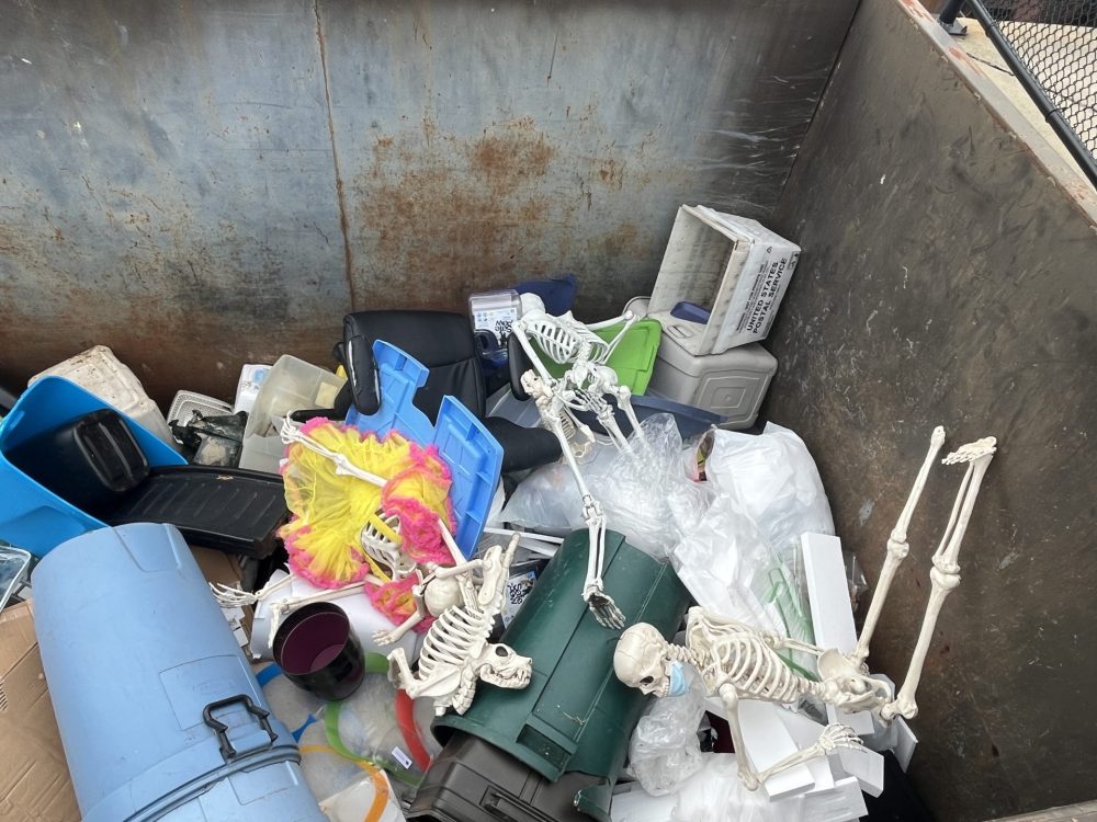 dumpster skeletons