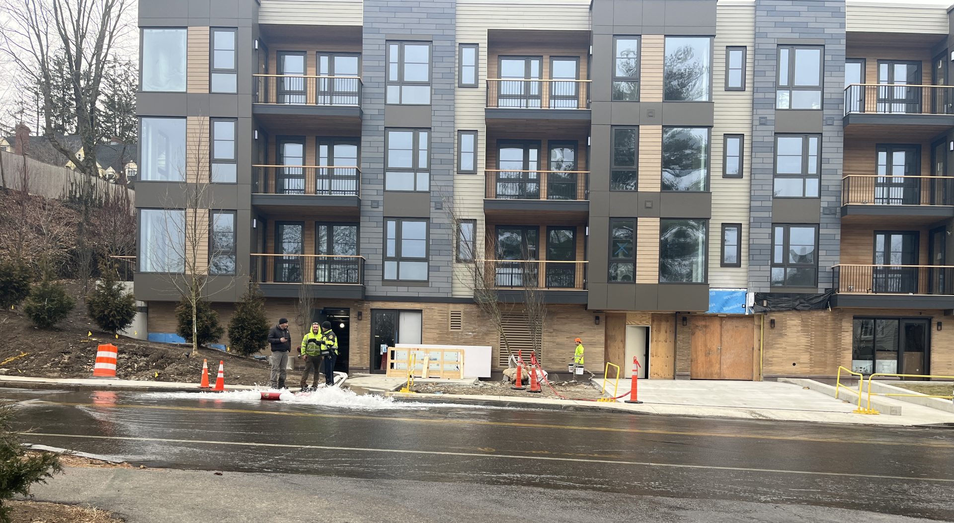 Gushing over new Wellesley condo complex The Swellesley Report