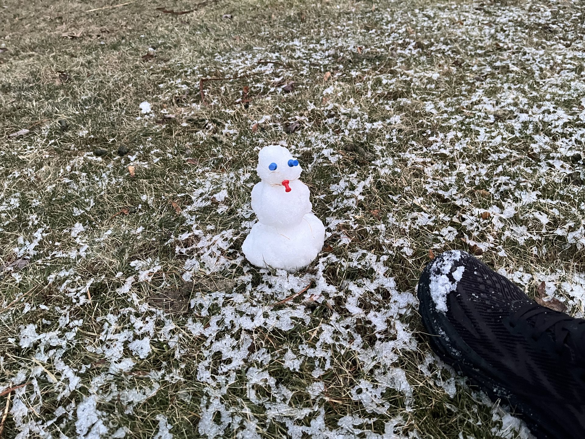 Best Wellesley snow day EVER! The Swellesley Report