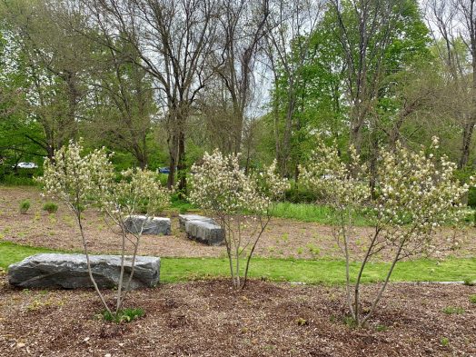 Simons Park, Wellesley