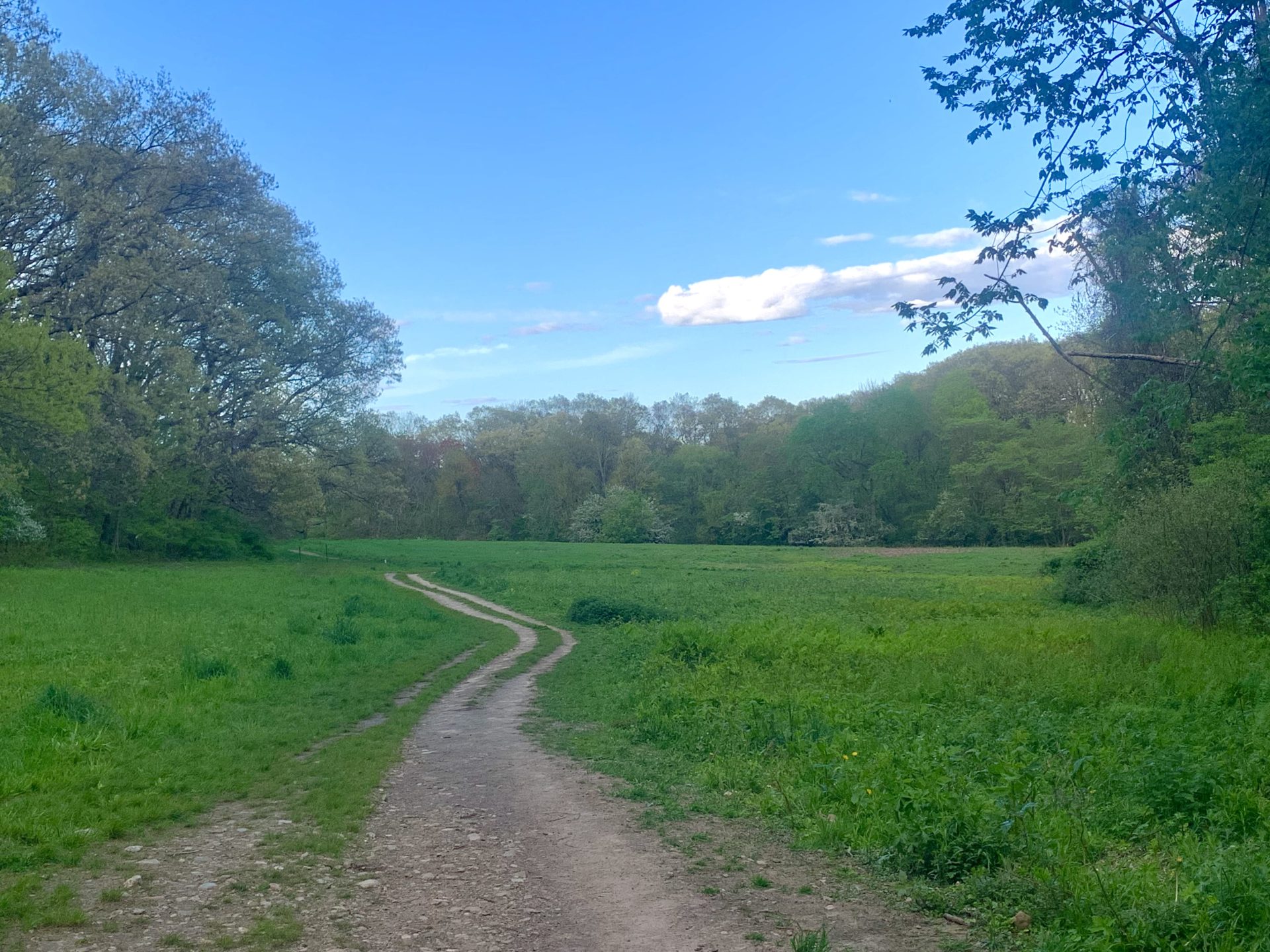 Centennial Park, Wellesley