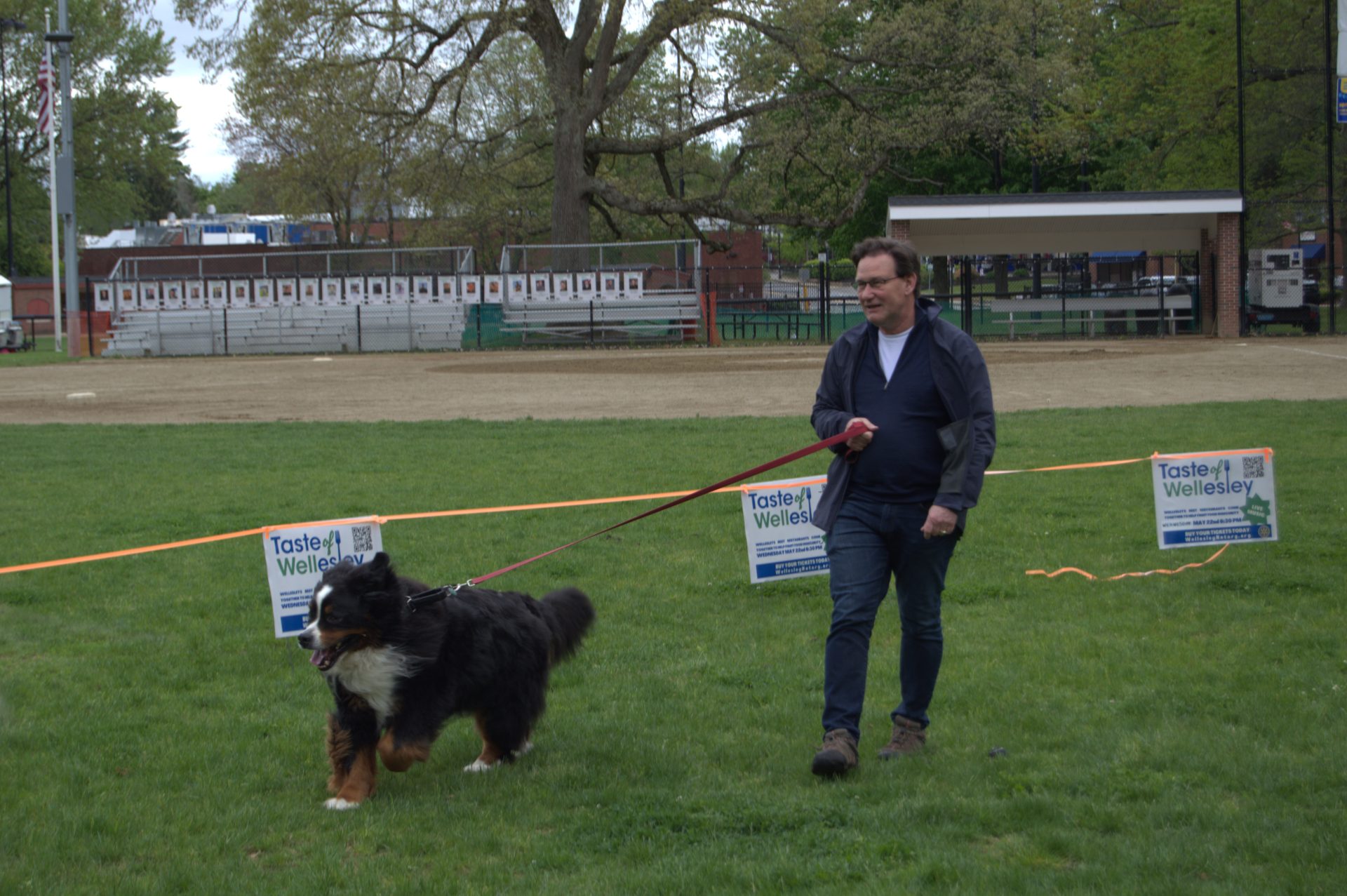Pups in the Park WWW