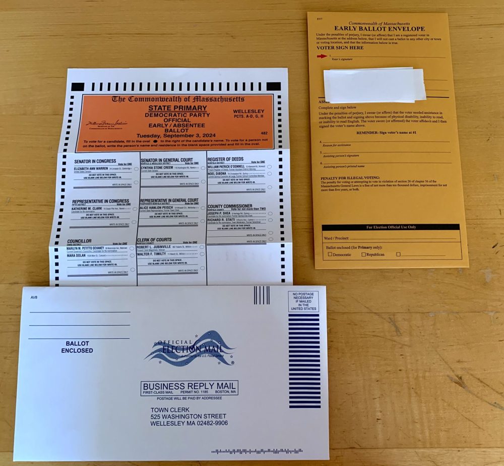 Wellesley election 2024