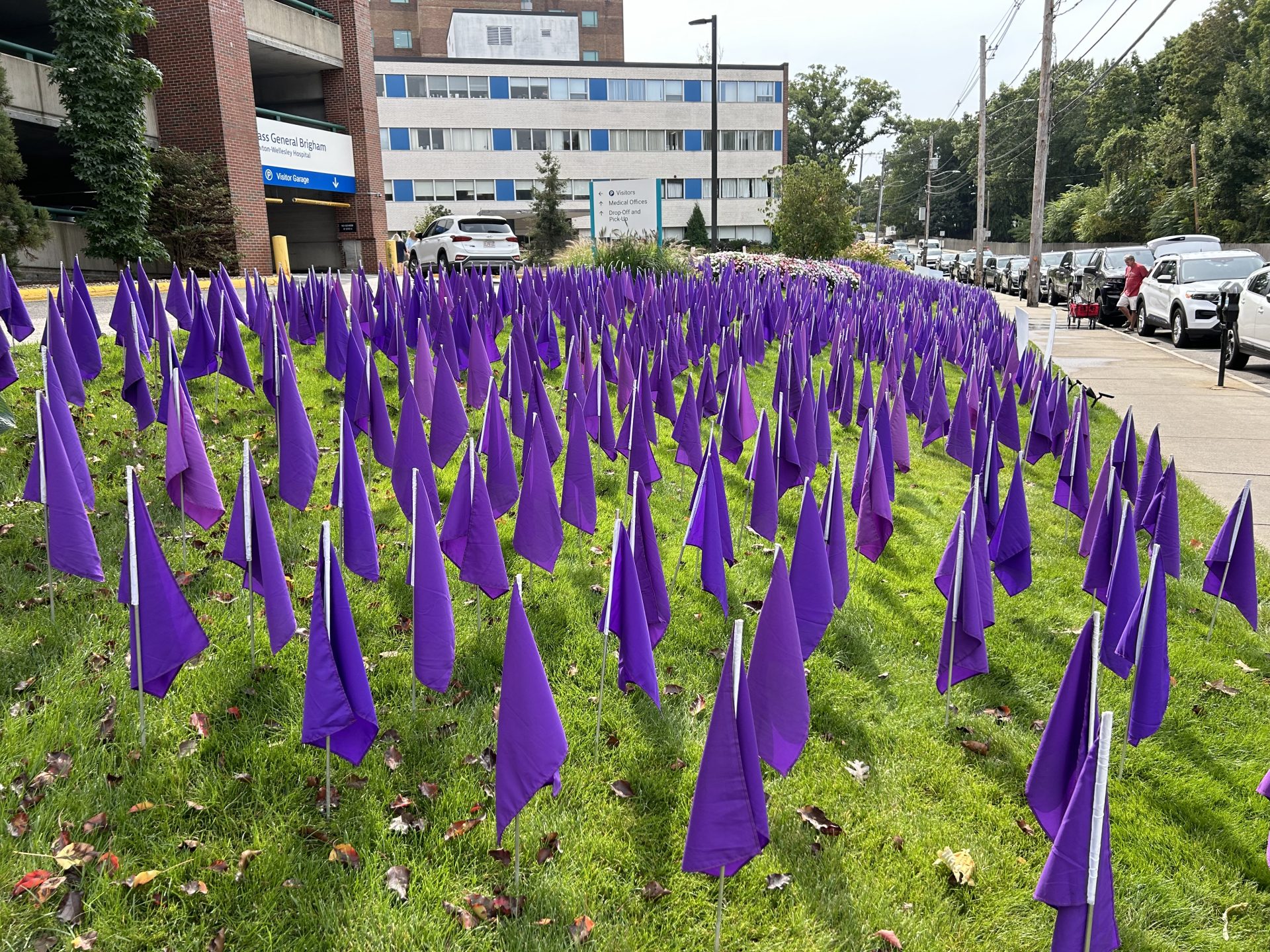 Newton-Wellesley Hospital, purple flags