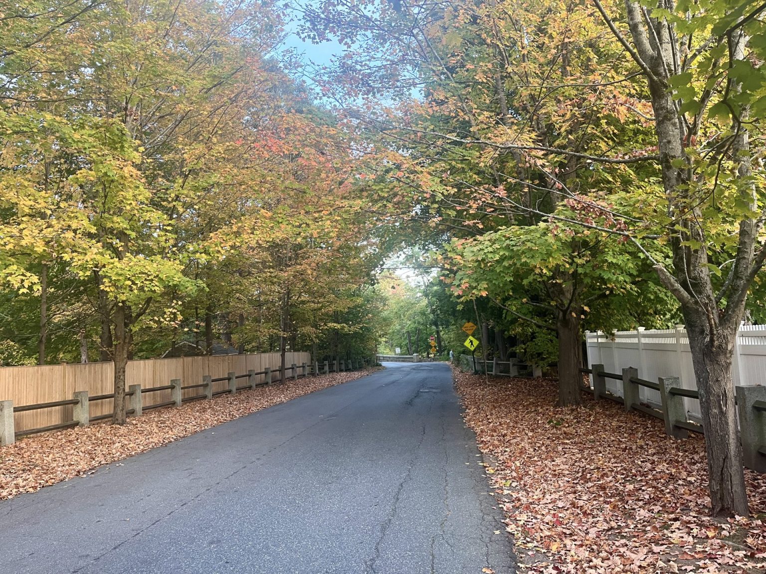 The Swellesley Report - Page 4 of 1943 - Since 2005: More than you ...