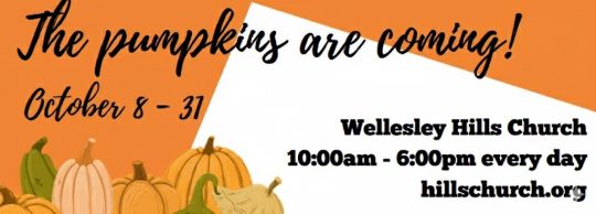 Wellesley Hills Pumpkin Patch 