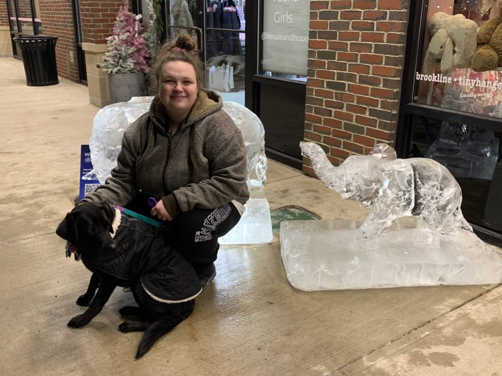 Wellesley, Ice Sculpture Stroll, elephants