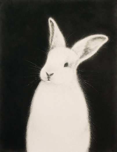 Beth Urdang Gallery, Wellesley